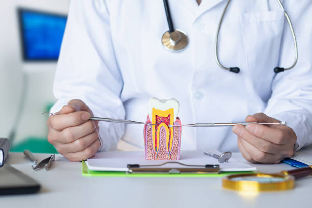 Best Emergency Tooth Extraction in Vassar College, NY